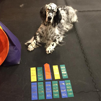 eli-agility-news.jpg